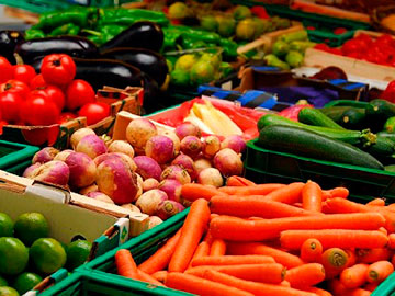 CONSTRUCTION OF FRUIT AND VEGETABLE STORES